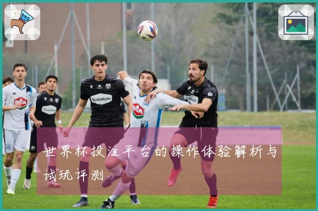 世界杯投注平台的操作体验解析与试玩评测