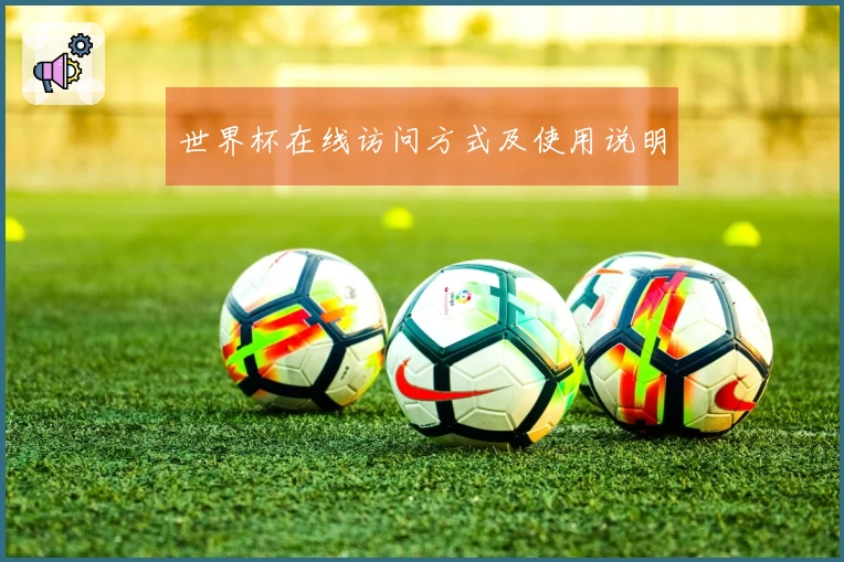 世界杯在线访问方式及使用说明