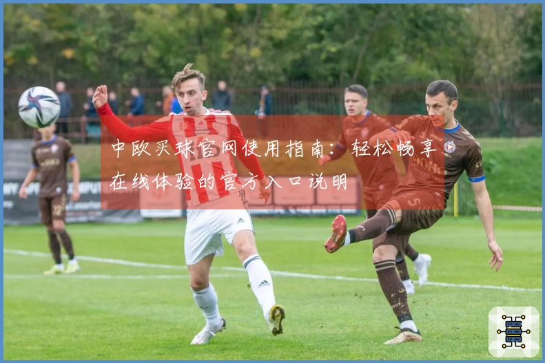 中欧买球官网使用指南：轻松畅享在线体验的官方入口说明