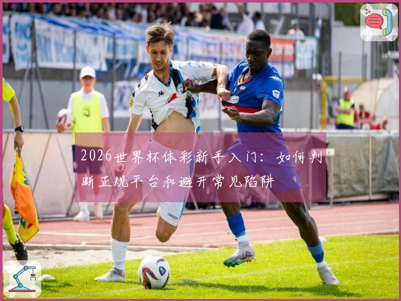 2026世界杯体彩新手入门：如何判断正规平台和避开常见陷阱