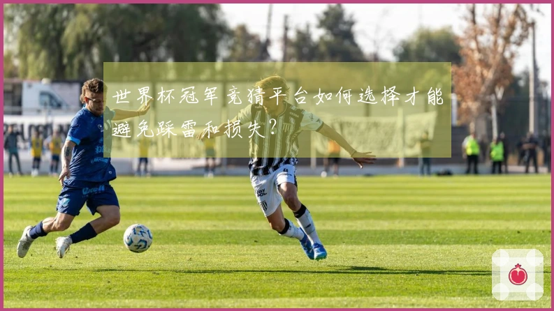 世界杯冠军竞猜平台如何选择才能避免踩雷和损失？
