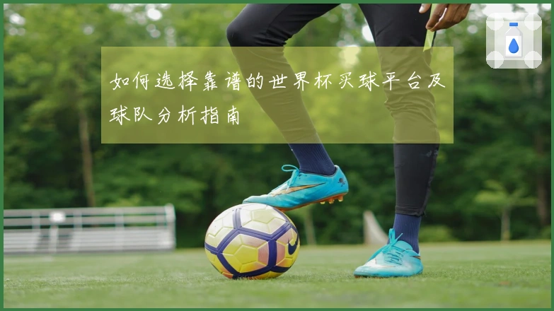 如何选择靠谱的世界杯买球平台及球队分析指南