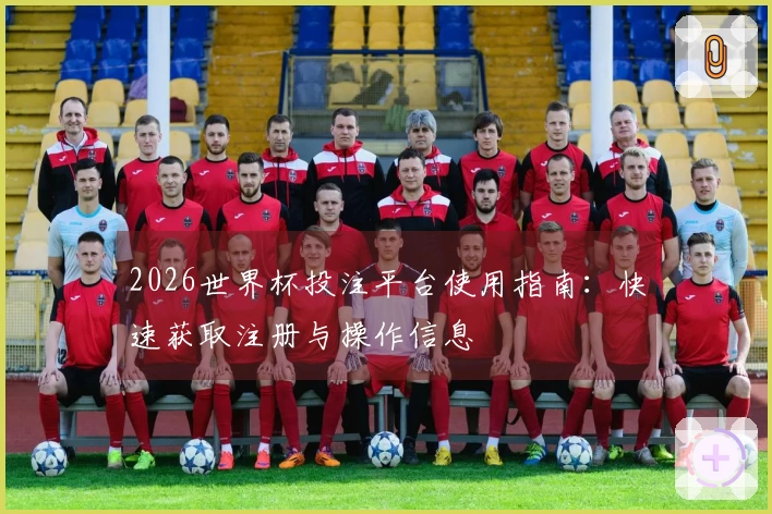 2026世界杯投注平台使用指南：快速获取注册与操作信息
