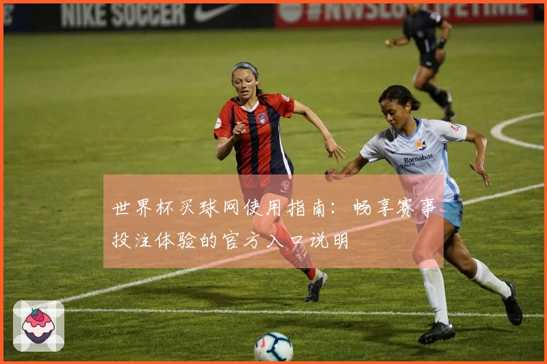 世界杯买球网使用指南：畅享赛事投注体验的官方入口说明