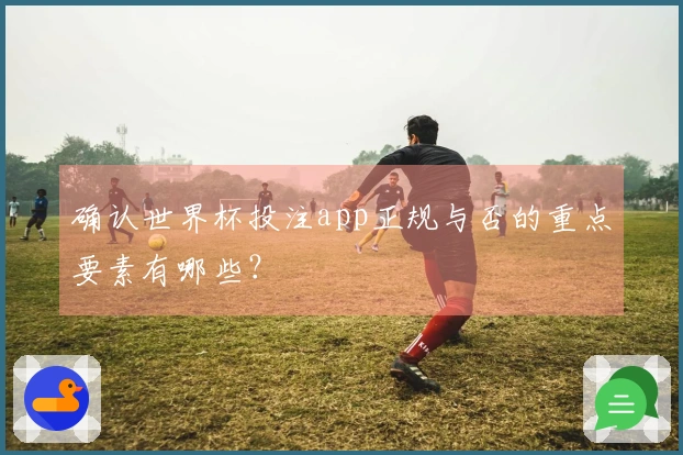 确认世界杯投注app正规与否的重点要素有哪些？