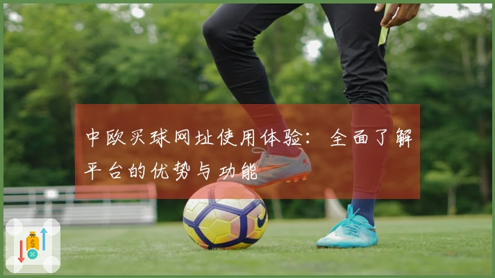 中欧买球网址使用体验：全面了解平台的优势与功能