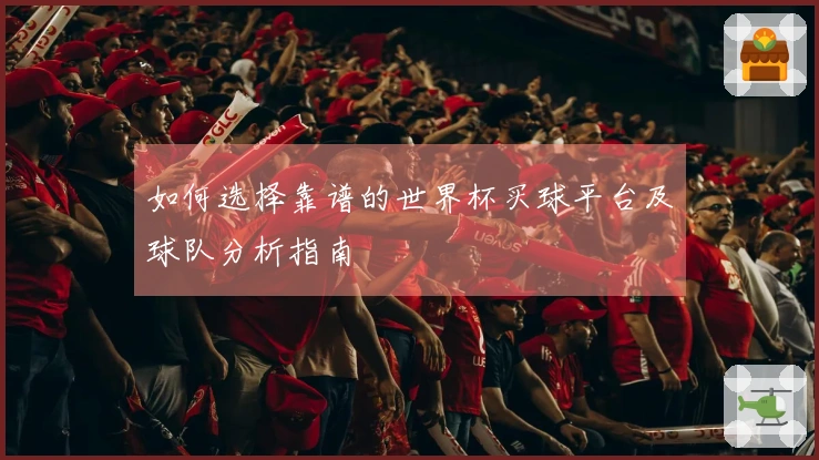 如何选择靠谱的世界杯买球平台及球队分析指南