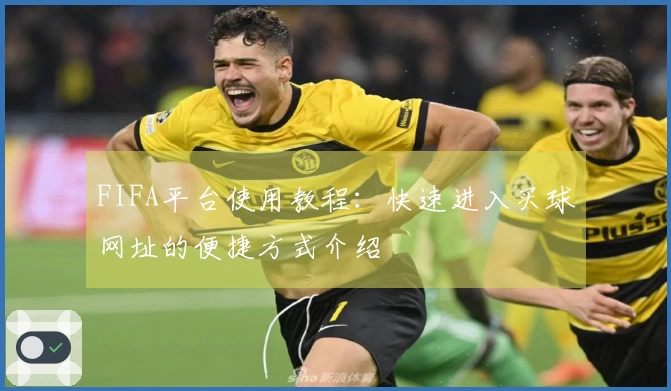 FIFA平台使用教程：快速进入买球网址的便捷方式介绍