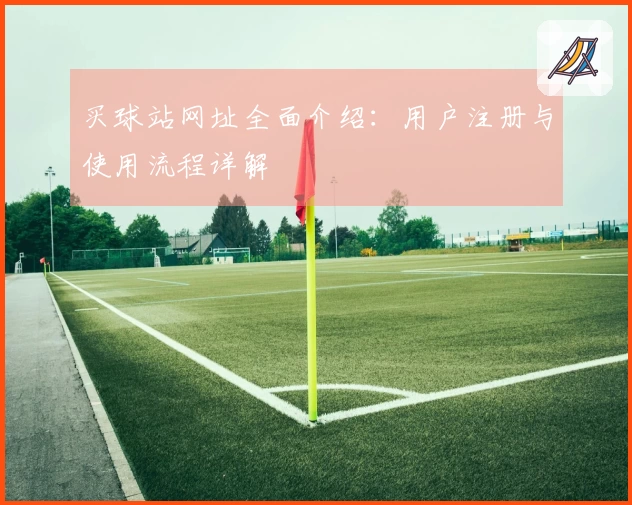 买球站网址全面介绍：用户注册与使用流程详解