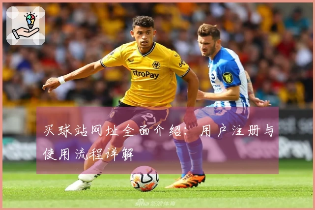 买球站网址全面介绍：用户注册与使用流程详解