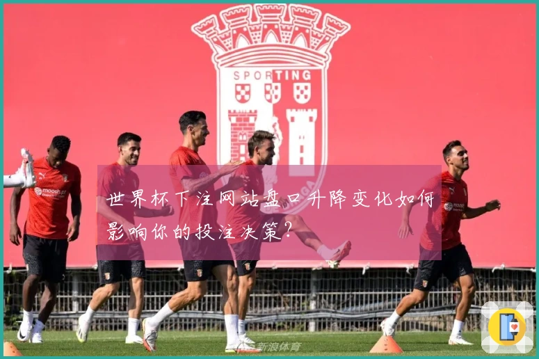 世界杯下注网站盘口升降变化如何影响你的投注决策？