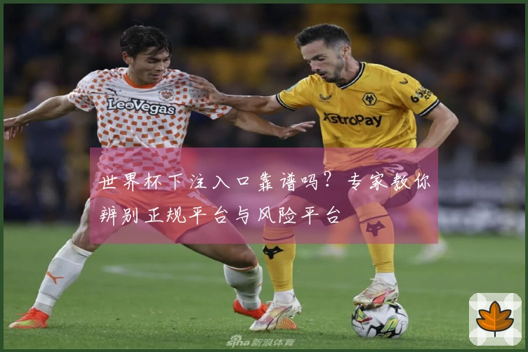 世界杯下注入口靠谱吗？专家教你辨别正规平台与风险平台