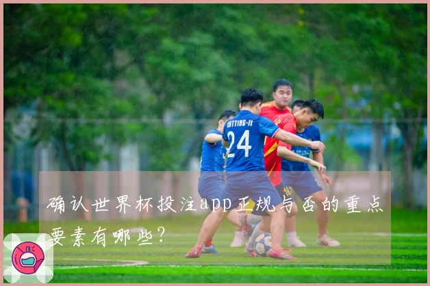 确认世界杯投注app正规与否的重点要素有哪些？