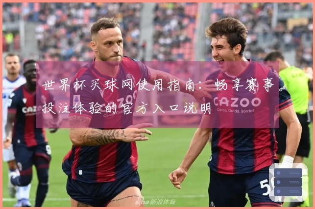 世界杯买球网使用指南：畅享赛事投注体验的官方入口说明