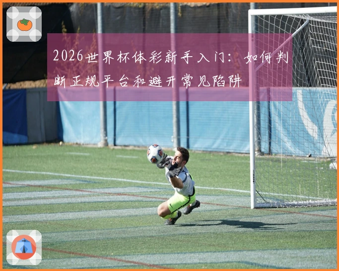 2026世界杯体彩新手入门：如何判断正规平台和避开常见陷阱