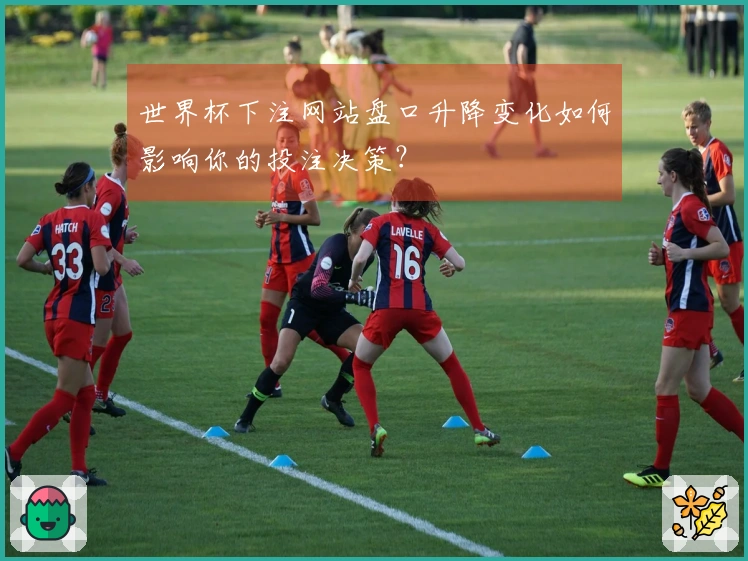 世界杯下注网站盘口升降变化如何影响你的投注决策?