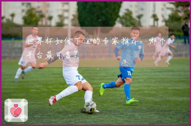 世界杯如何下注的专家推荐，哪个平台最可靠？