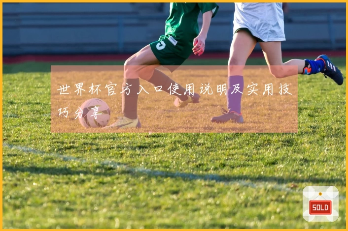 世界杯官方入口使用说明及实用技巧分享