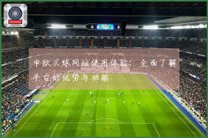 中欧买球网址使用体验：全面了解平台的优势与功能