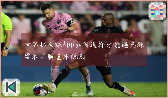 世界杯买球App如何选择才能避免踩雷和了解基本规则