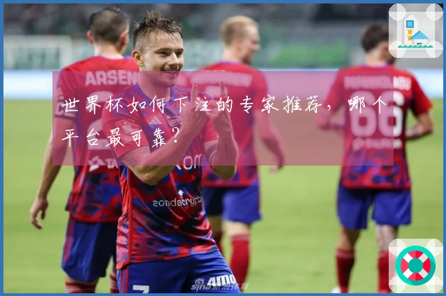 世界杯如何下注的专家推荐，哪个平台最可靠？