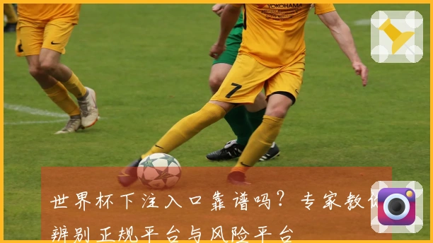 世界杯下注入口靠谱吗？专家教你辨别正规平台与风险平台