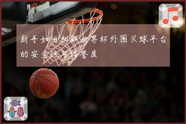 新手如何判断世界杯外围买球平台的安全性与信誉度