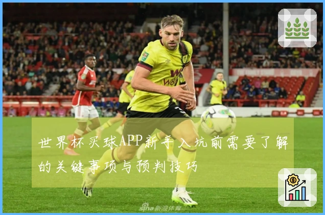 世界杯买球APP新手入坑前需要了解的关键事项与预判技巧